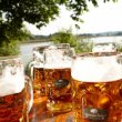 Maisinger Seehof