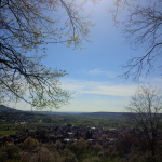 Pretzfelder Keller